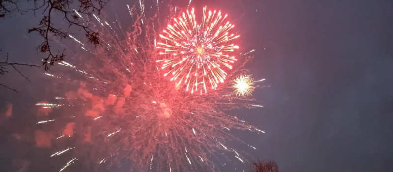    Ирина Яковлева