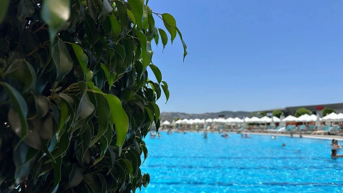    Фото: телеканал «Краснодар»