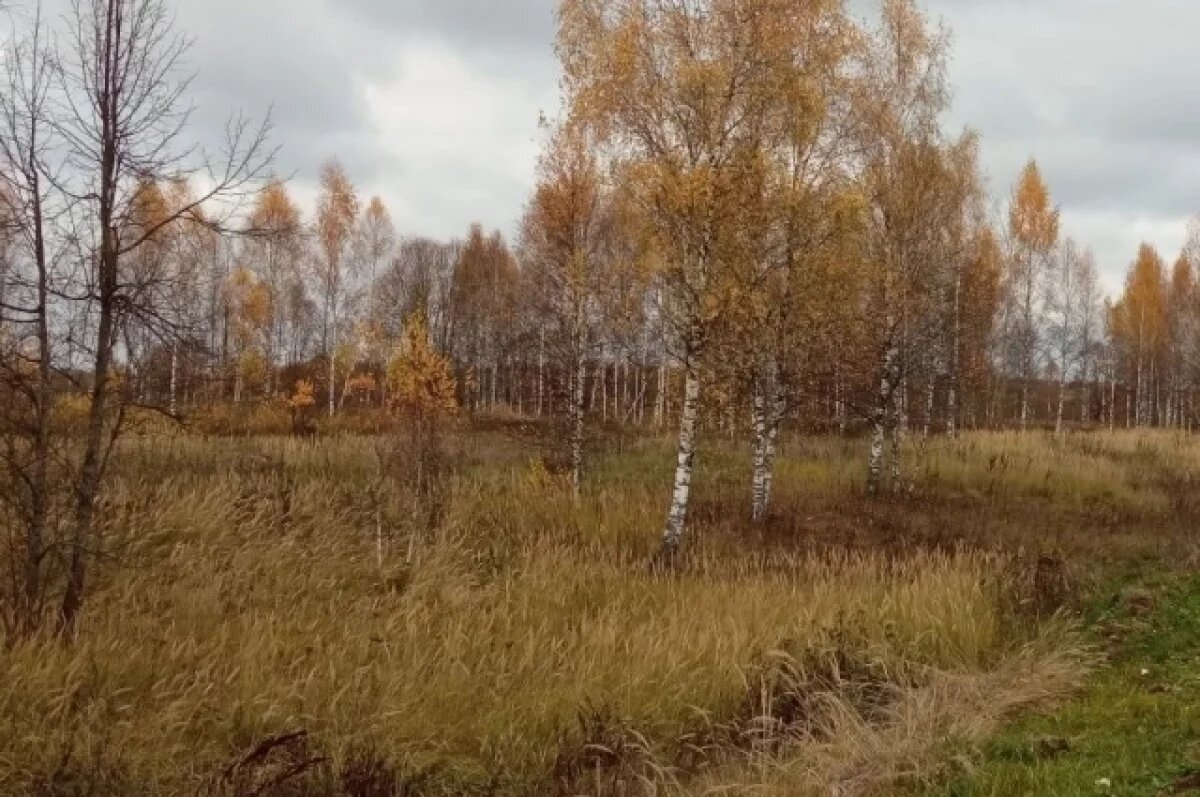    Собственнику калужской сельхозземли назначили штраф в сотни тысяч рублей