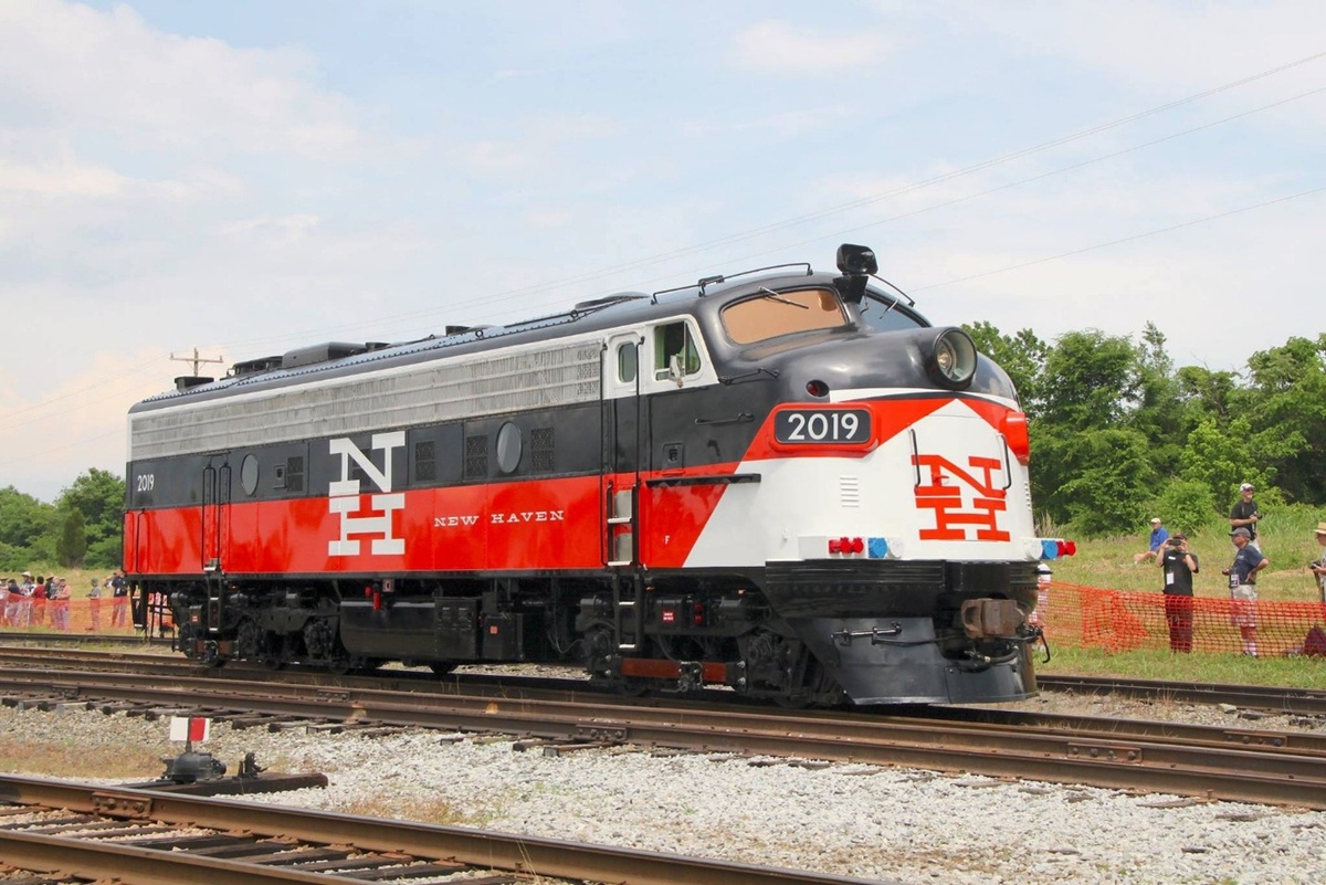 Картинки Яндекса