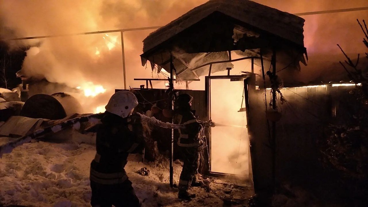 Пожар на улице Менделеева. Фото: МЧС