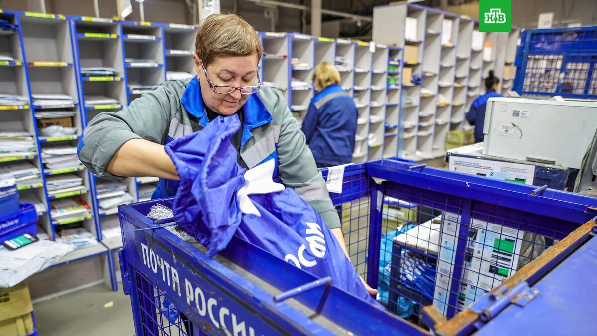    Фото: Роман Наумов / URA.RU / ТАСС