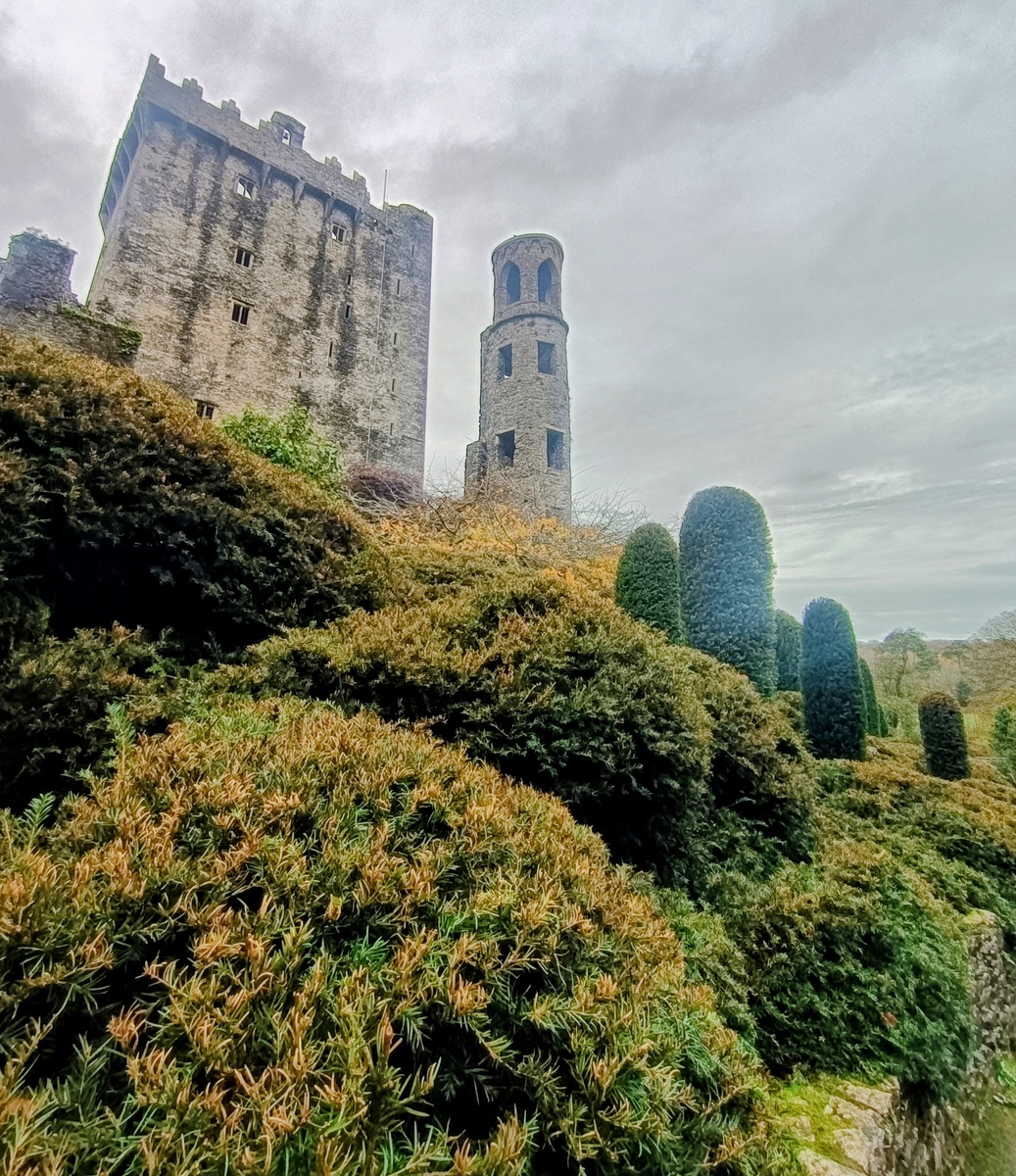 Замок Blarney. Графство Корк. Ирландия. Фото автора 