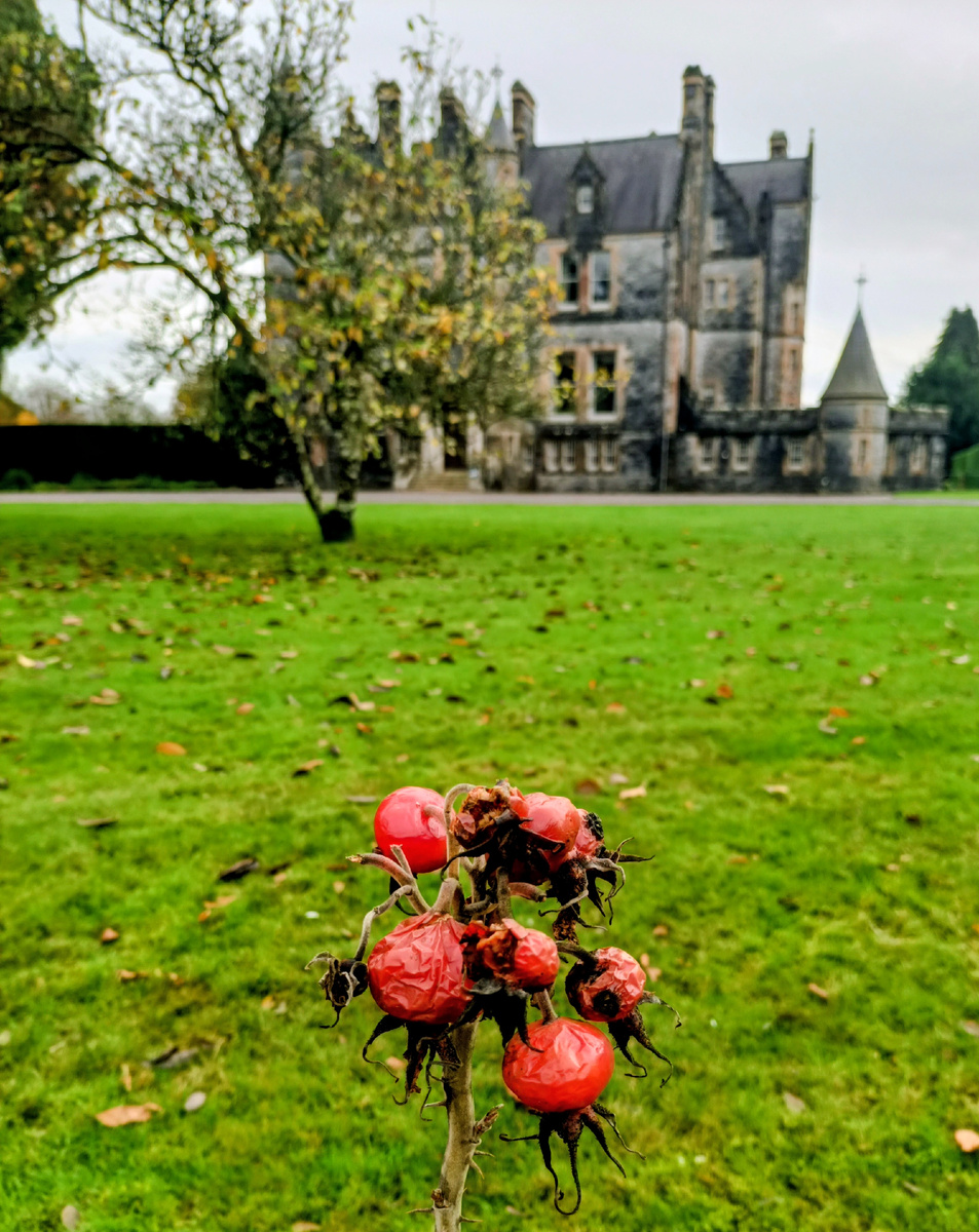 Вилла Blarney. Графство Корк. Ирландия. Фото автора 