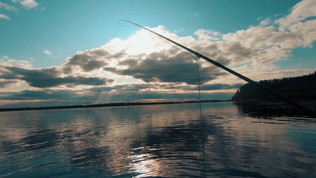 Какая рыба водится в реке Ангара: гид для рыбаков