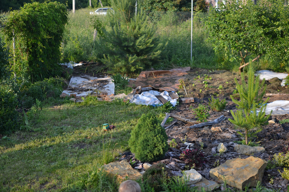 Вот этот участок, где грузовичок, мне поначалу казалось правильным оставить задерненным, потому что нормальное решение просто не приходило в голову. К концу лета решение-таки пришло, но укрыть я уже не успела. 