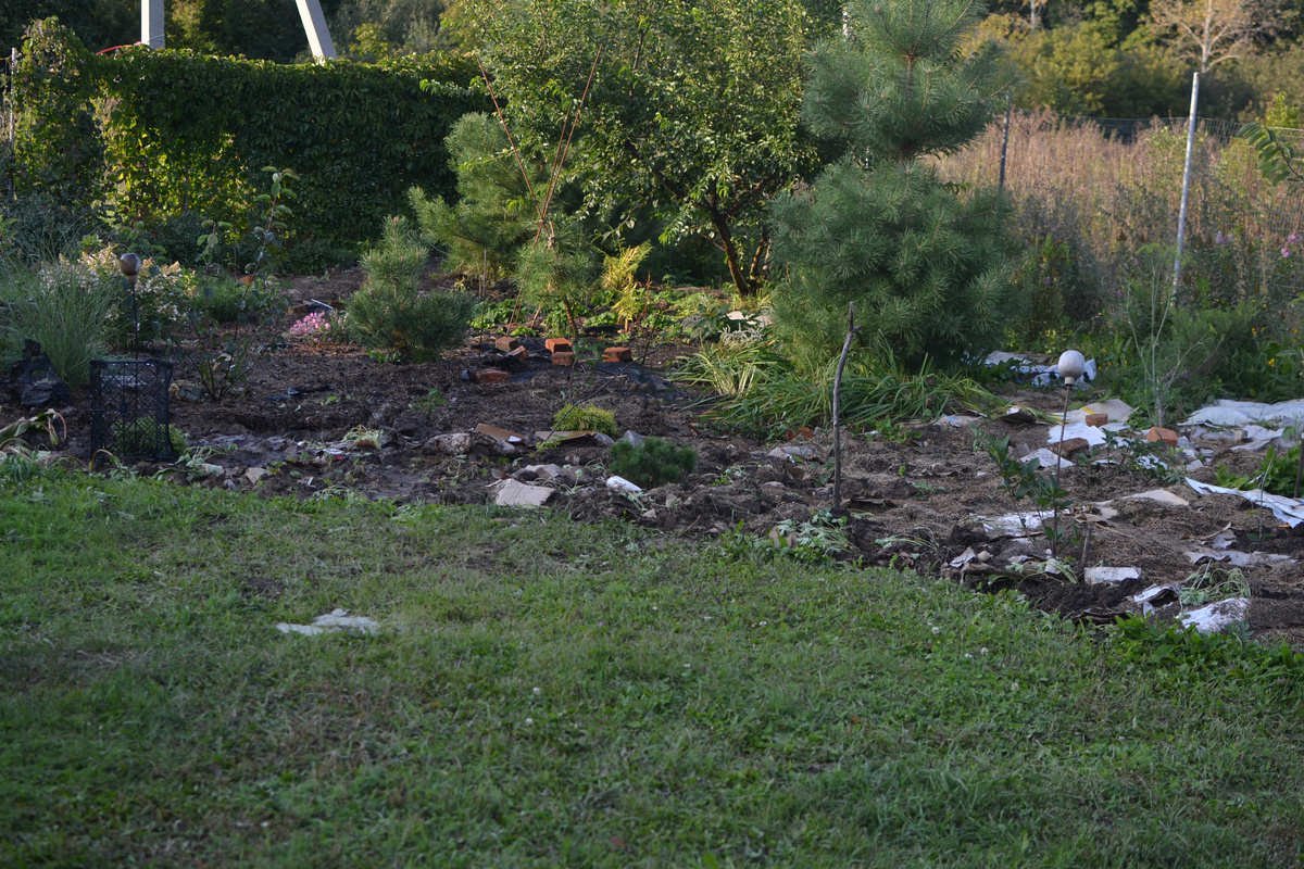 Общий вид в августе 2025. Помойка. Но на следующий год, уверена, картина будет совершенно иная