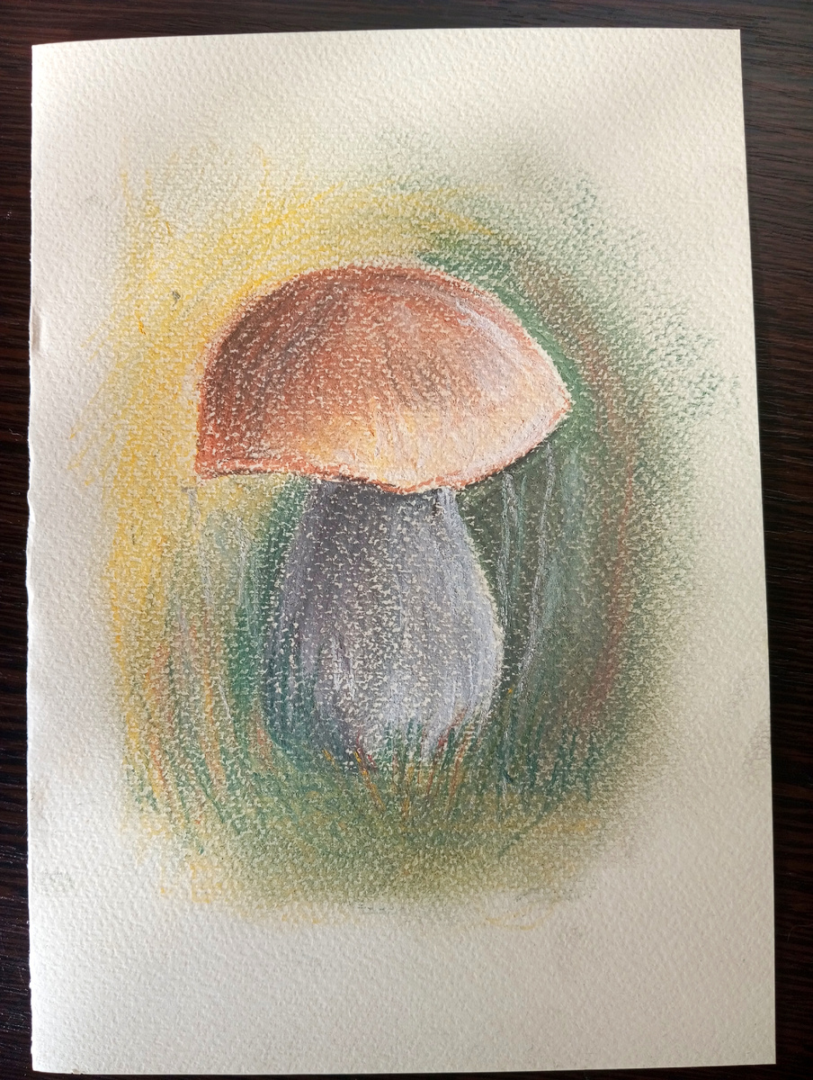 Гриб сухой пастелью