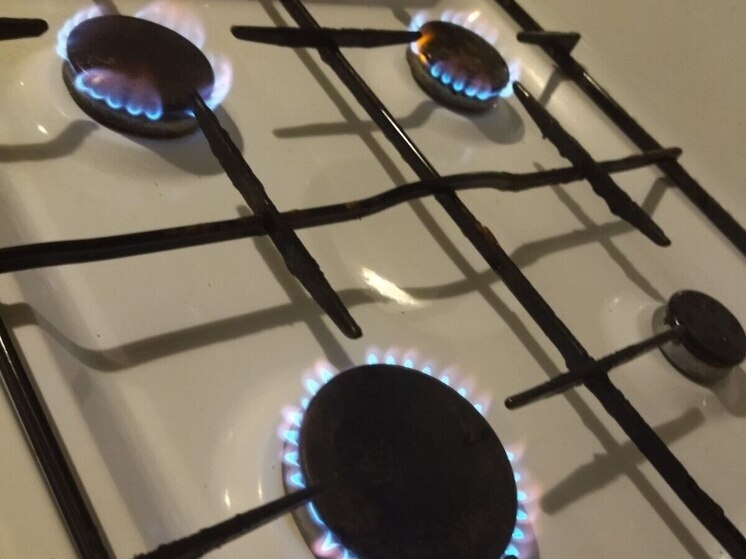     С сельчанами заключили четыре договора. Фото: Архив МК в Великом Новгороде