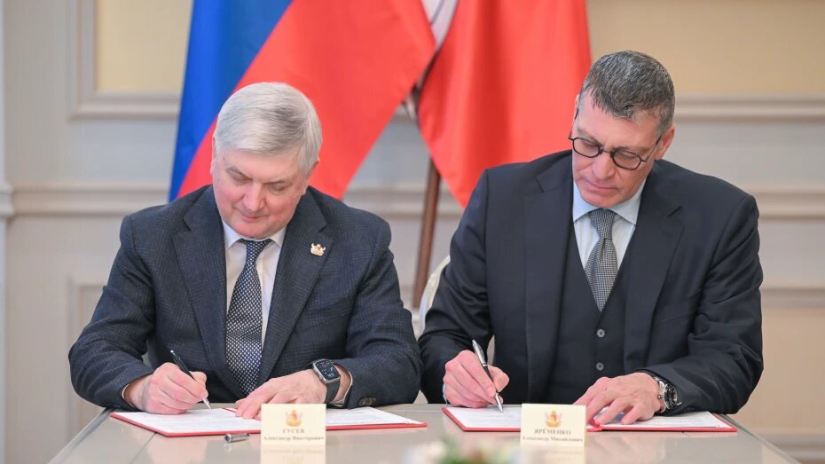    Автор фото: пресс-служба правительства Воронежской области