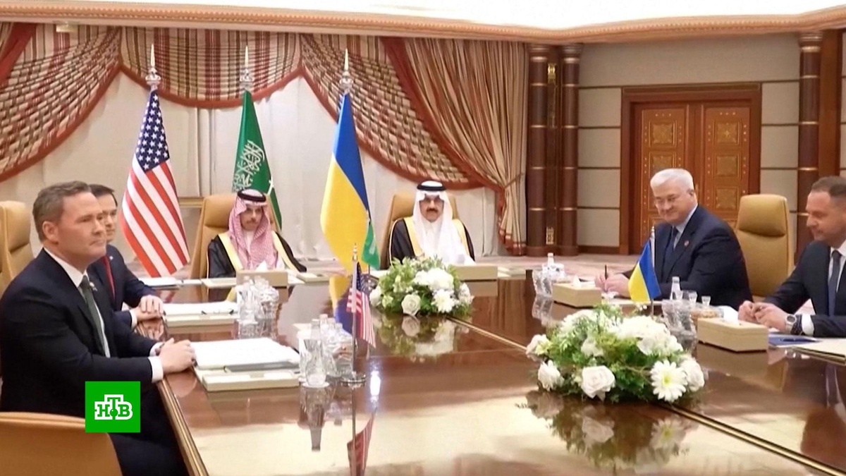    В Киеве сообщили о готовности ЕС ввести войска на Украину при одном условии