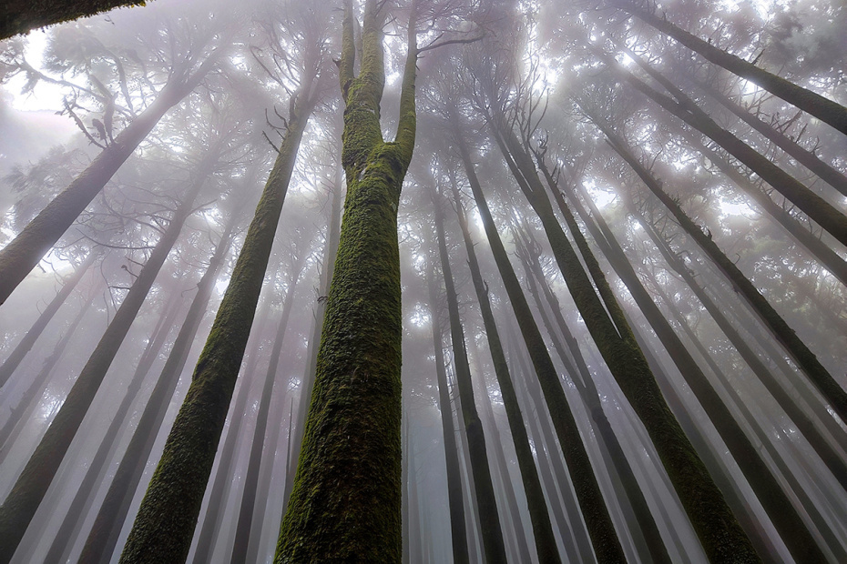    Shutterstock/FOTODOM