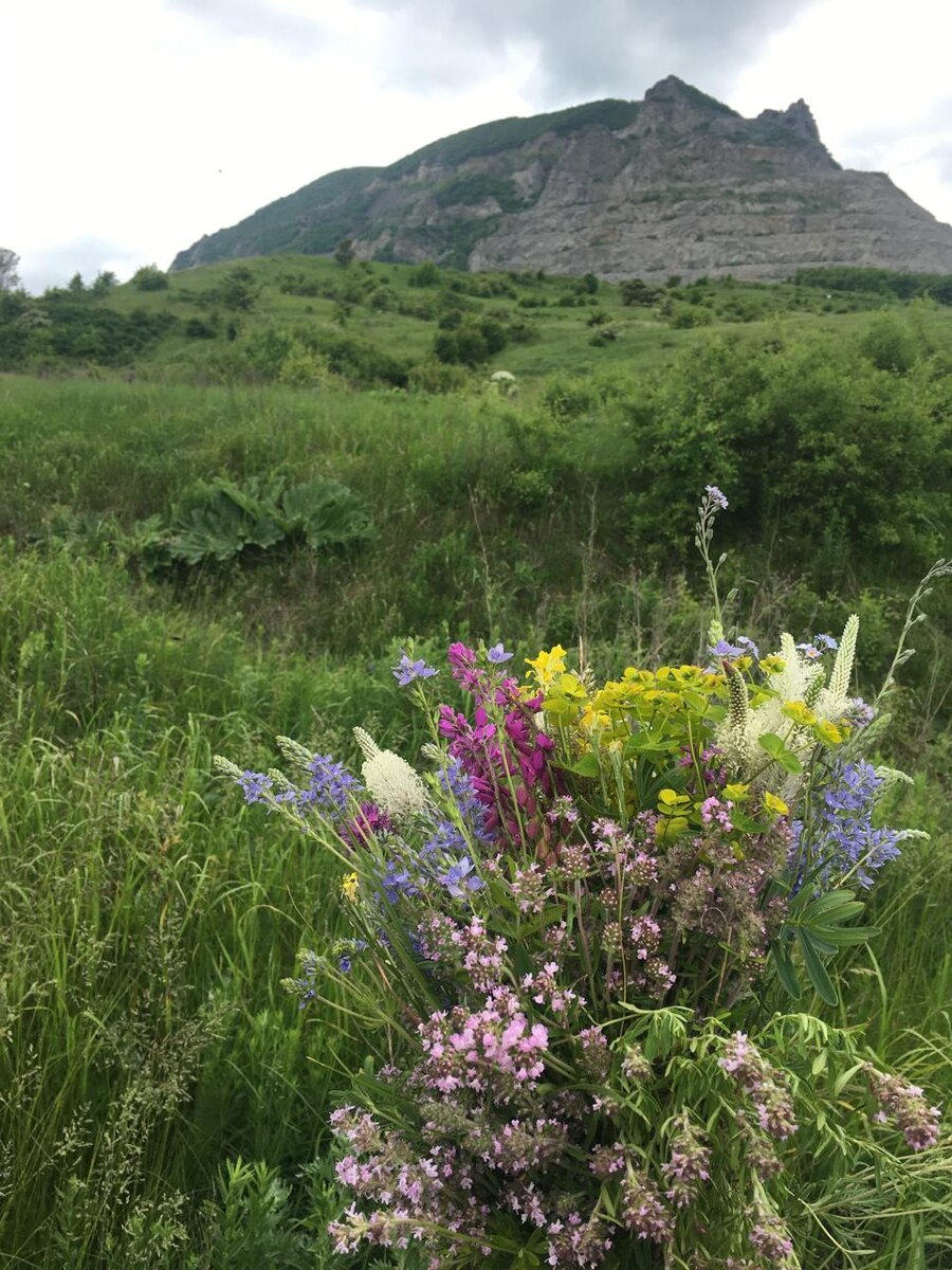 Гора Змейка вид снизу 