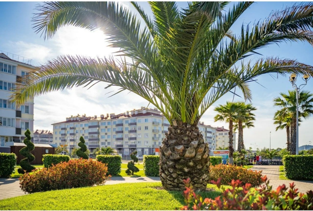 Фото из открытых источников. Территория 