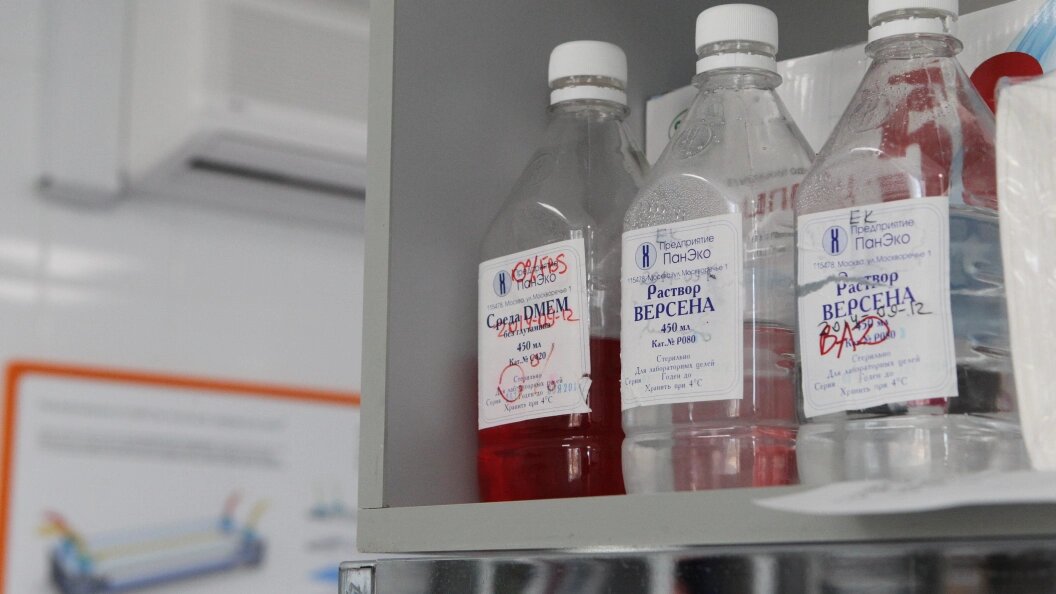    Фото: Телеканал Царьград