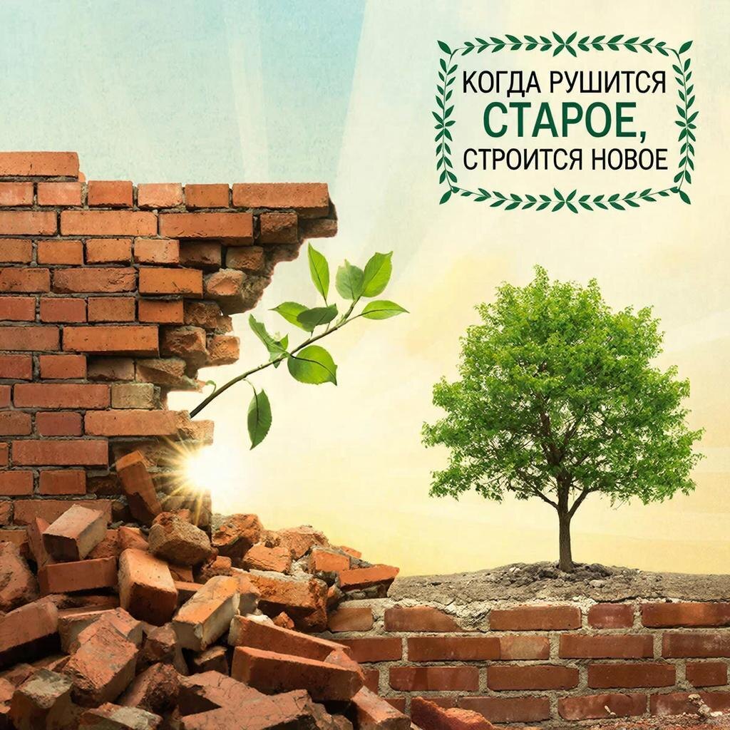 "В каждом закате солнца скрыта зарница нового рассвета."