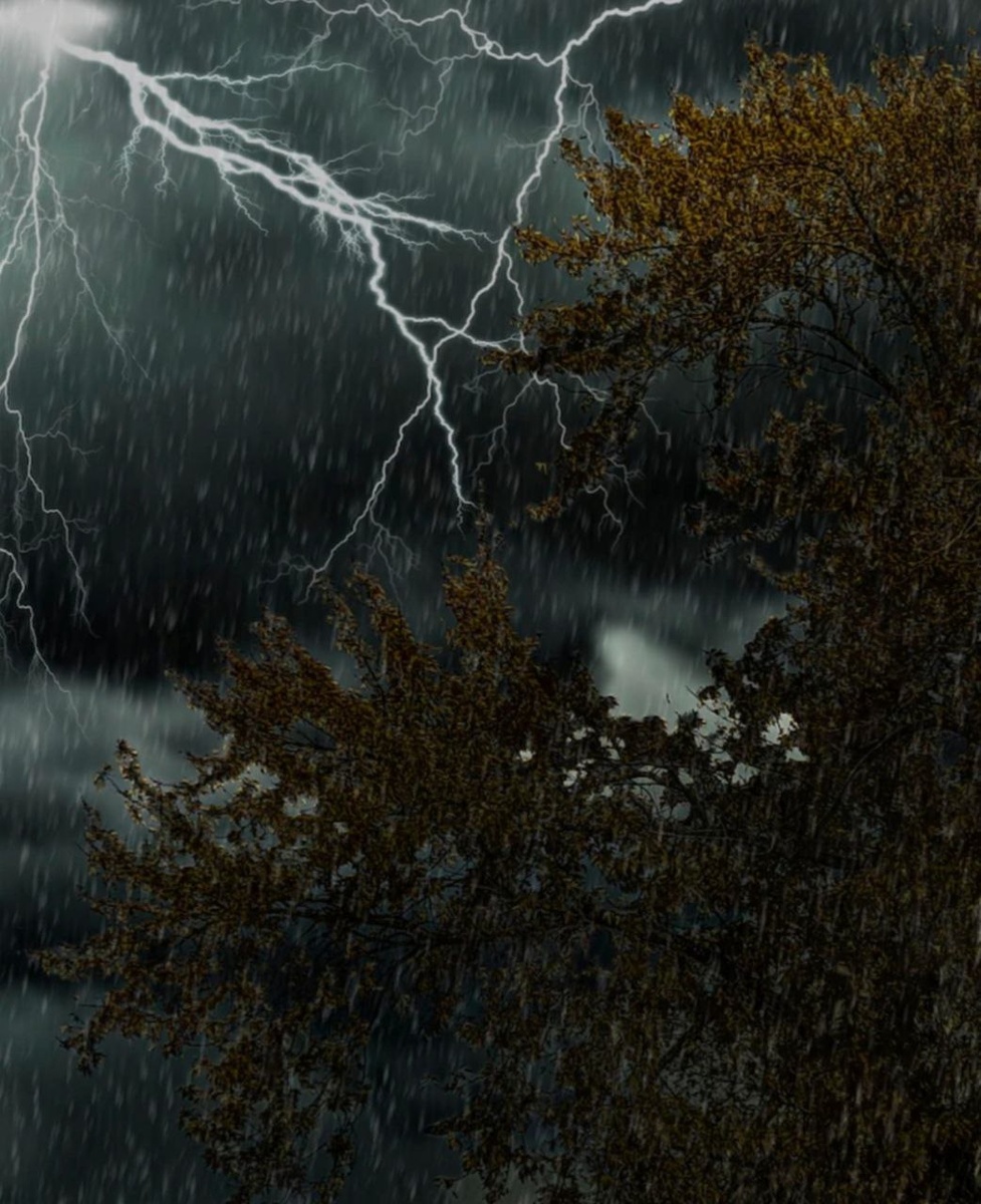 Фотография из интернета 