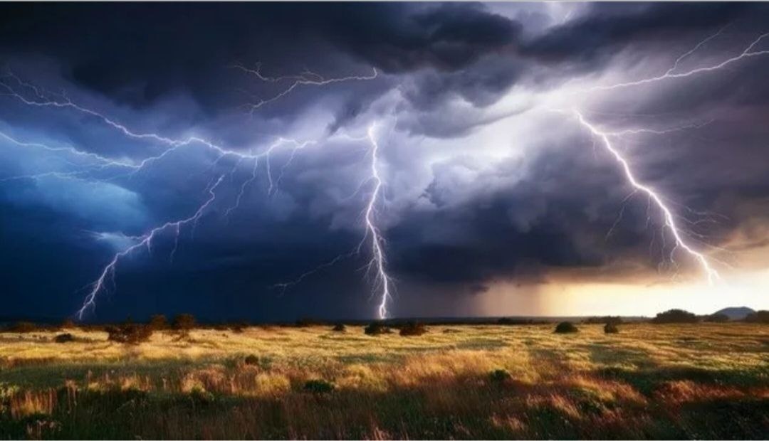 Фотография из интернета 