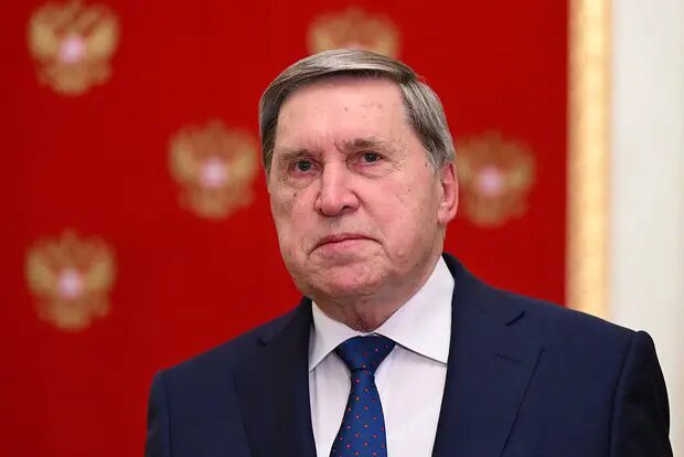    Фото: lenta.ru Павел Евсеев