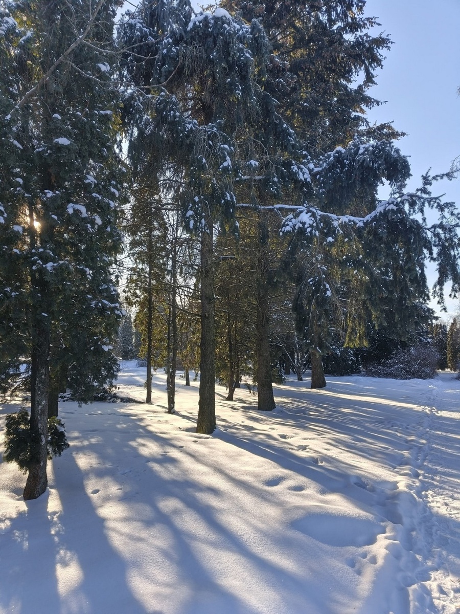 
В парке с. Пушкино.