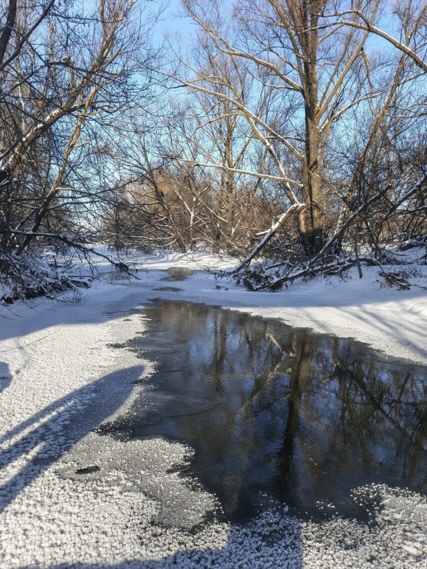На реке Плавице.