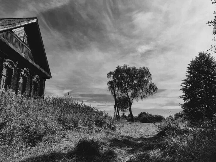 Взято из открытых источников интернета Яндекс.