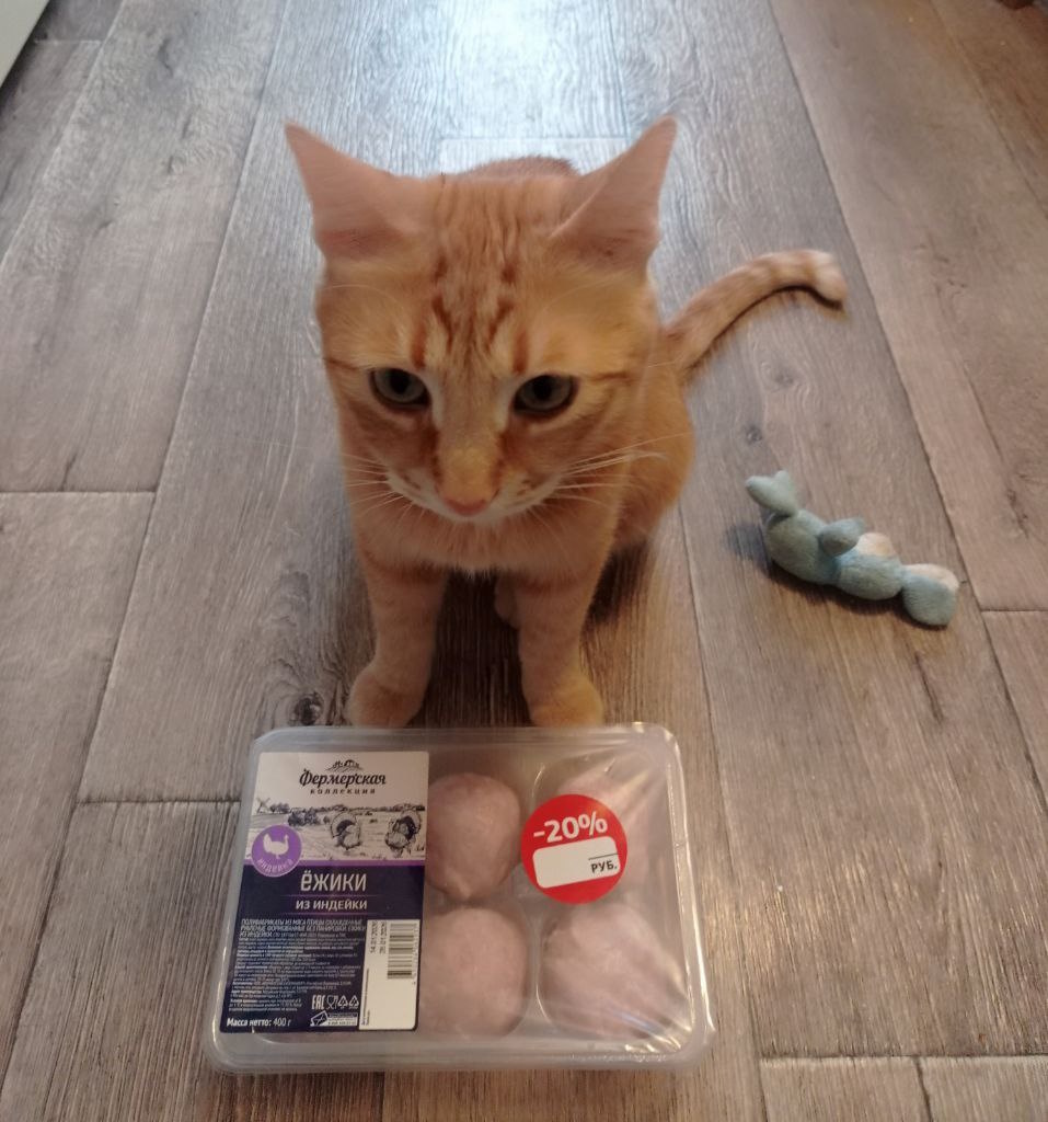 Наш рыжий ЧёКупила??! (и любимый зайка рядом)