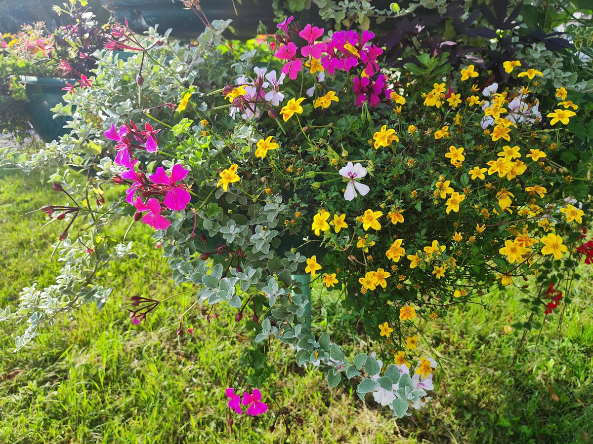 Фото автора.