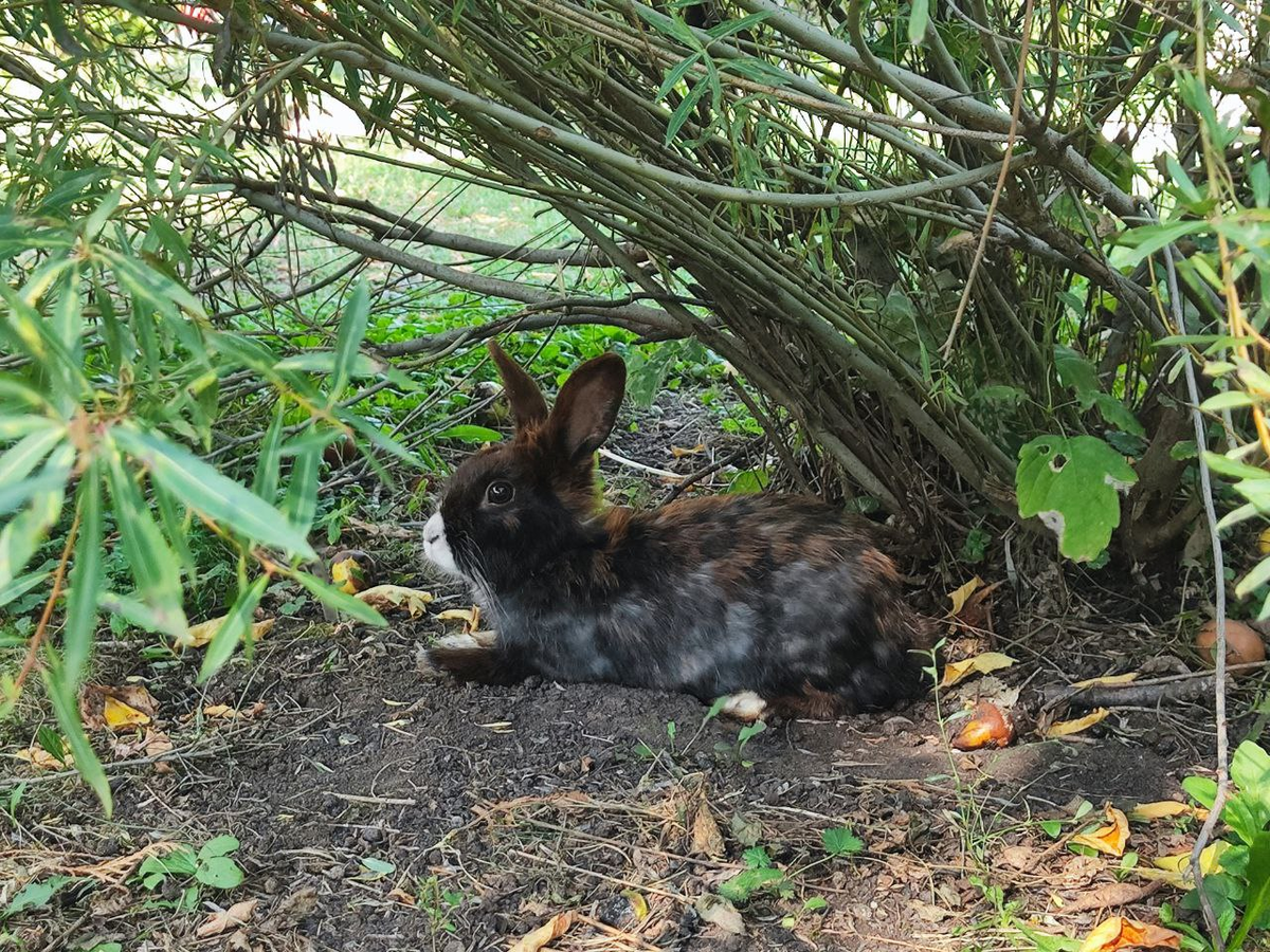 Фото автора.