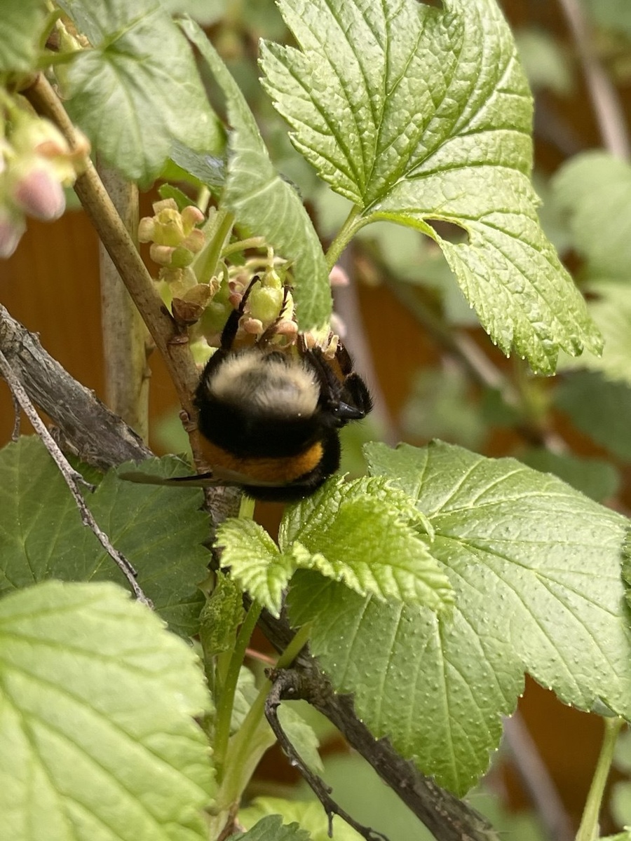Автор фото: Анастасия Еремина