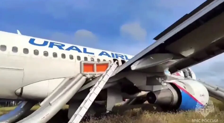    Фото: скриншот из видео пресс-службы МЧС России.