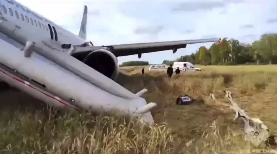    Фото: скриншот из видео пресс-службы МЧС России.