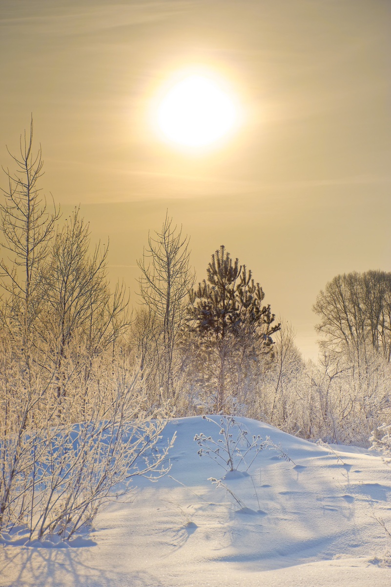 Последние краски сибирской зимы.