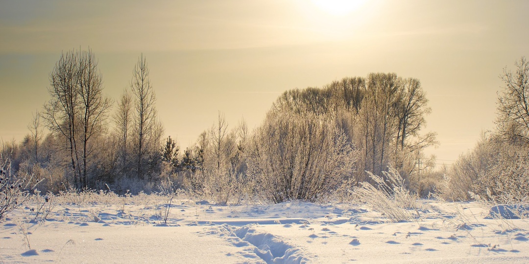 Последние краски сибирской зимы 2026