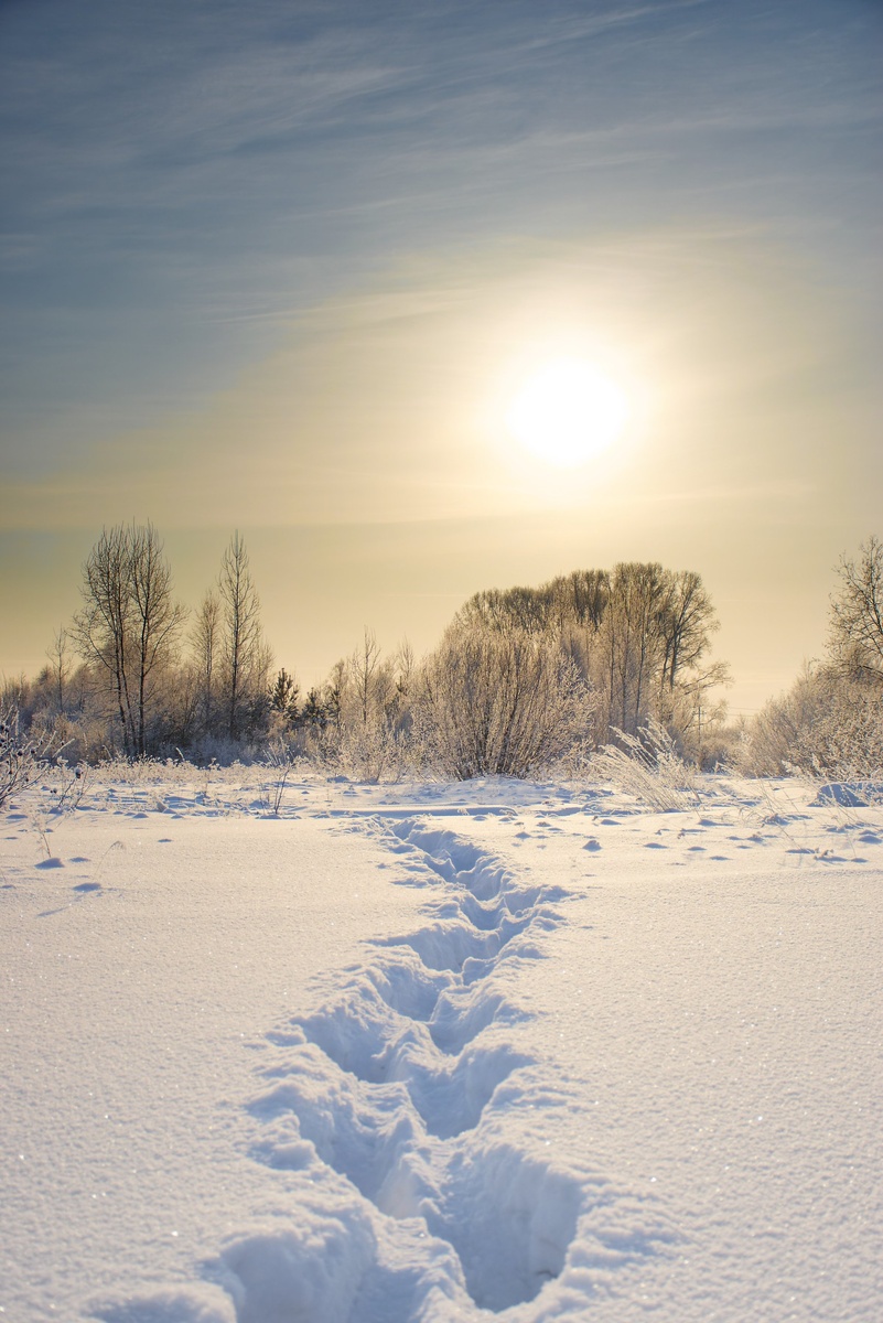Последние краски сибирской зимы.