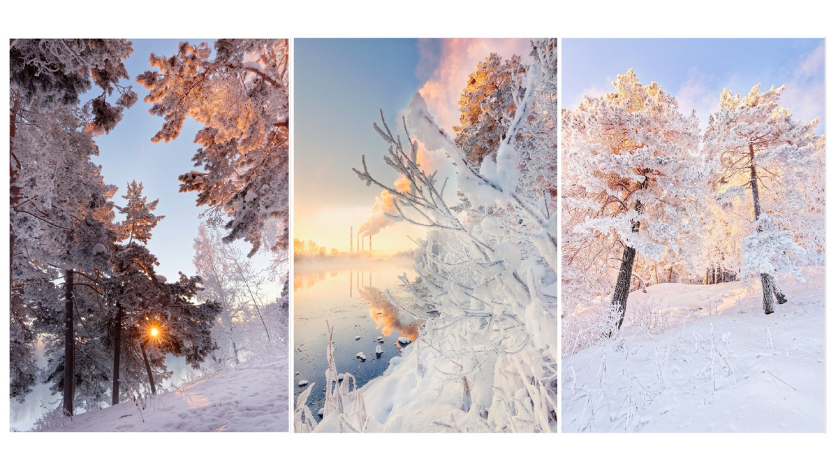 Розовый рассвет посреди сибирской зимы.