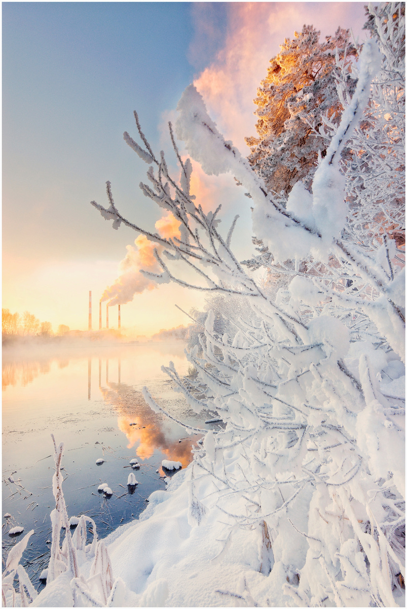 Розовый рассвет посреди сибирской зимы.