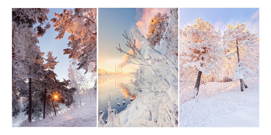 Розовый рассвет посреди сибирской зимы