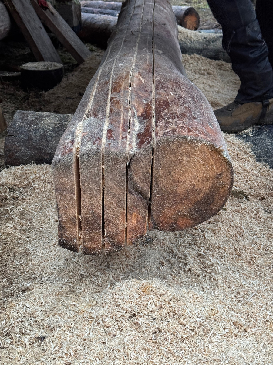 Это то самое бревно с которым я намучился 