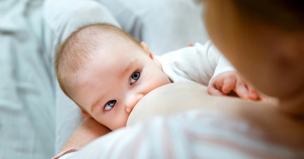 Фото: tartanparty | Shutterstock | Fotodom