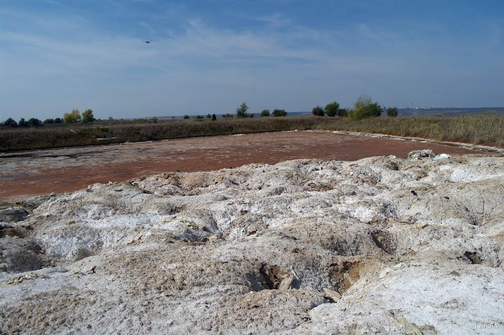    Фото: Официальный канал Минприроды ЛНР в МАХ