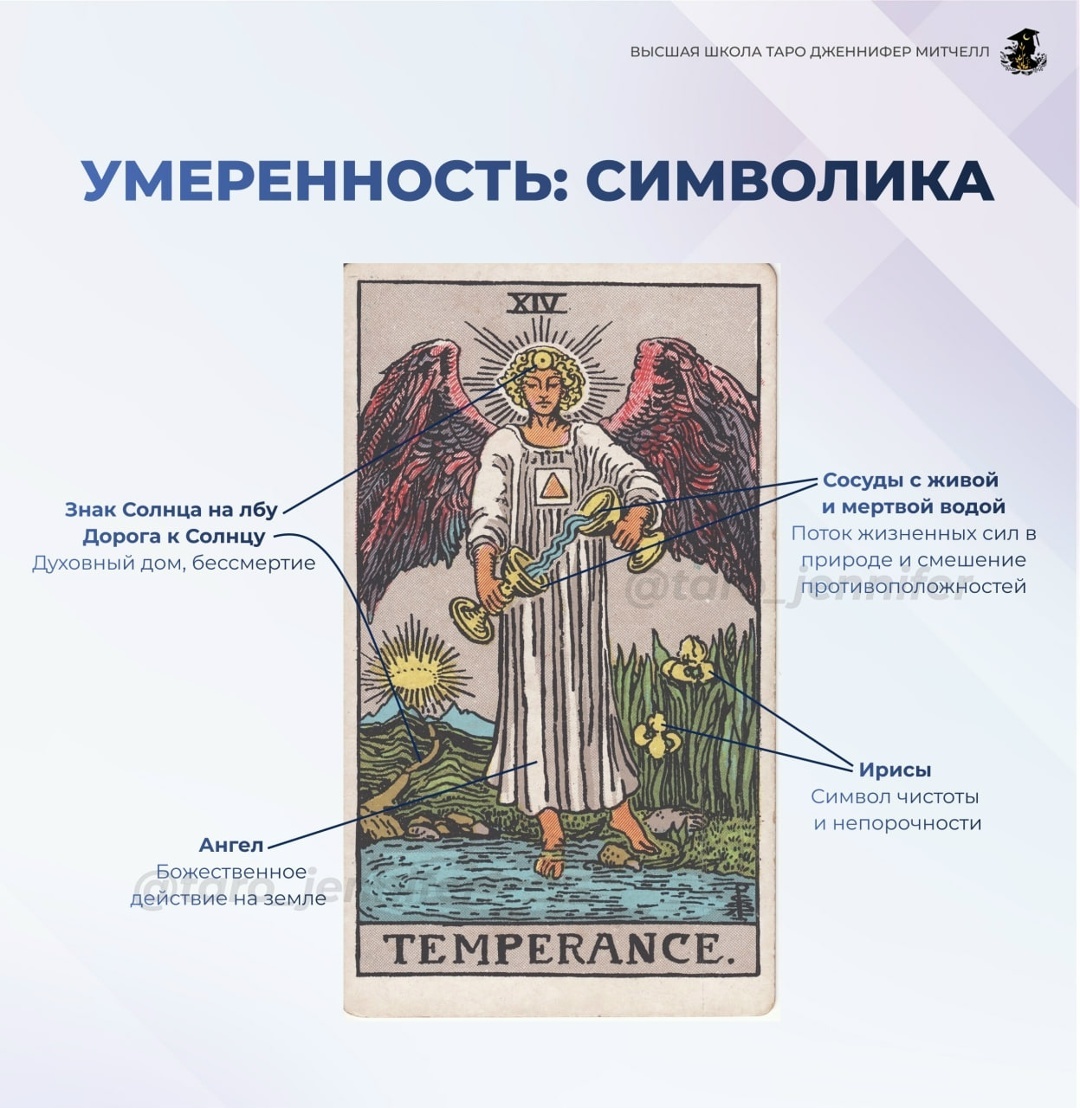 умеренность таро