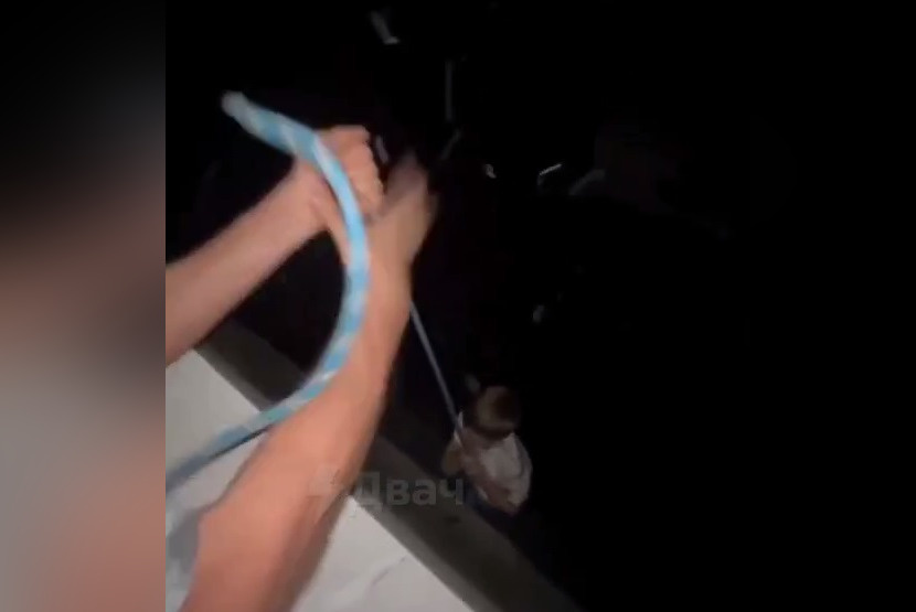     Фото: скрин видео