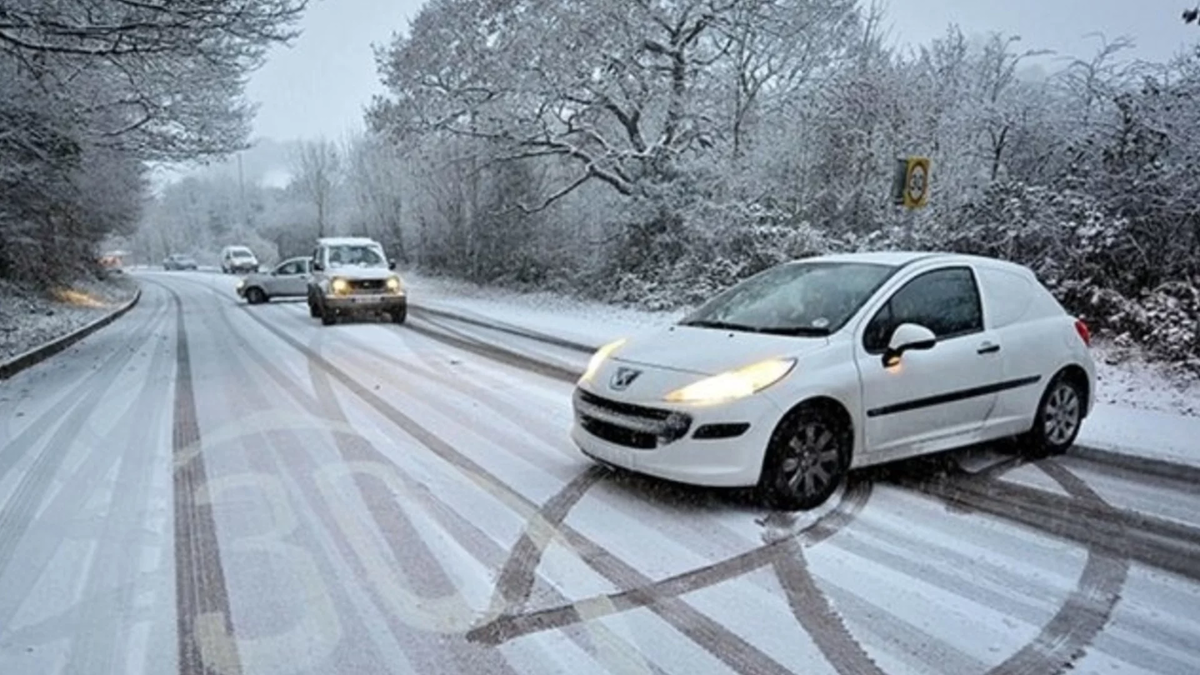 Фото с club-picanto