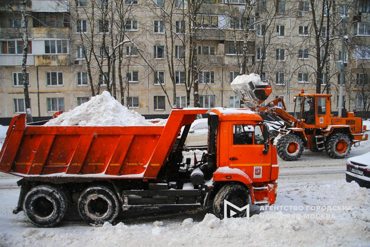 Фотограф: Сергей Ведяшкин