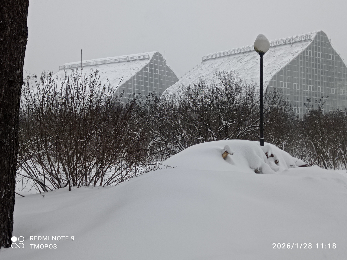 Пока не цель