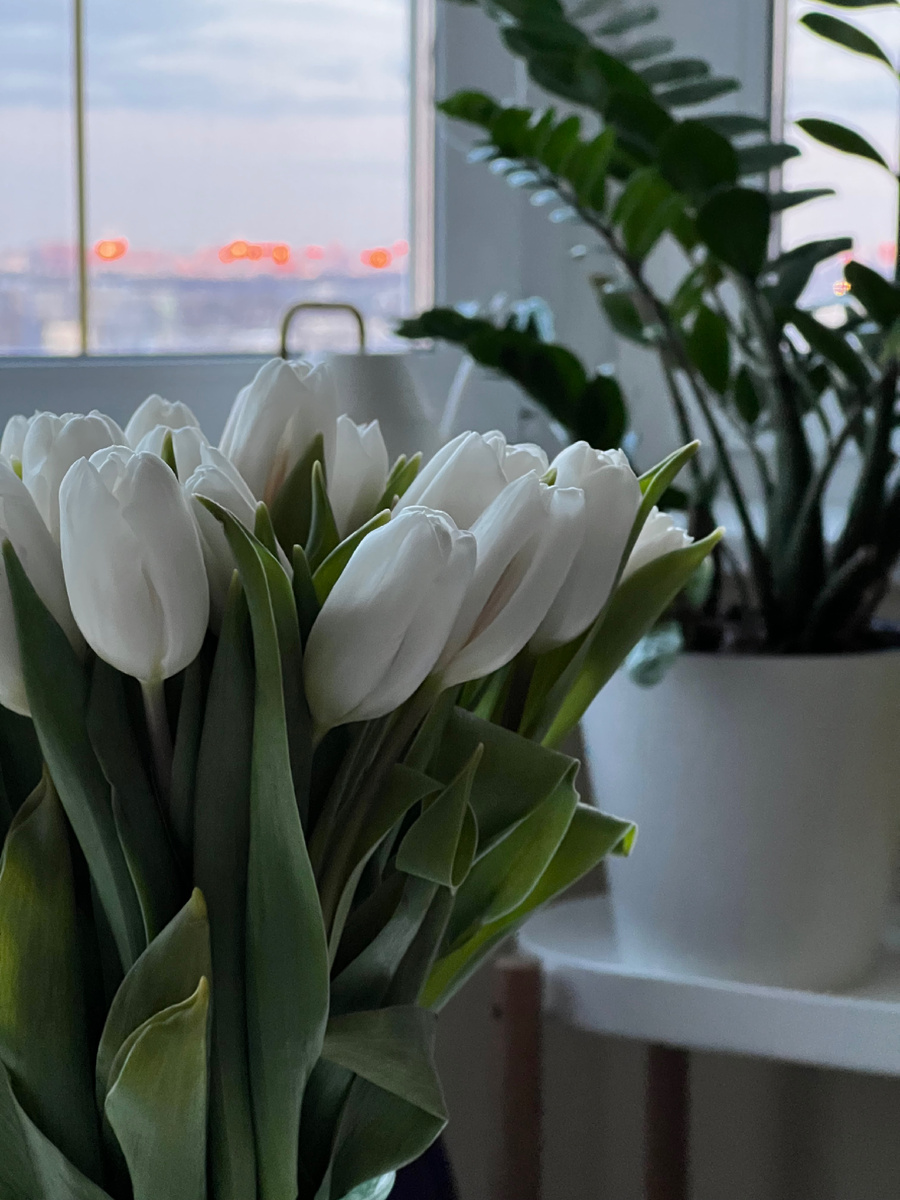 Что для вас важно - то и будет в вашем личном фокусе. Глядя в одну и ту же сторону фокусы у разных людей могут быть абсолютно разными. Для одних важны тюльпаны на переднем плане...