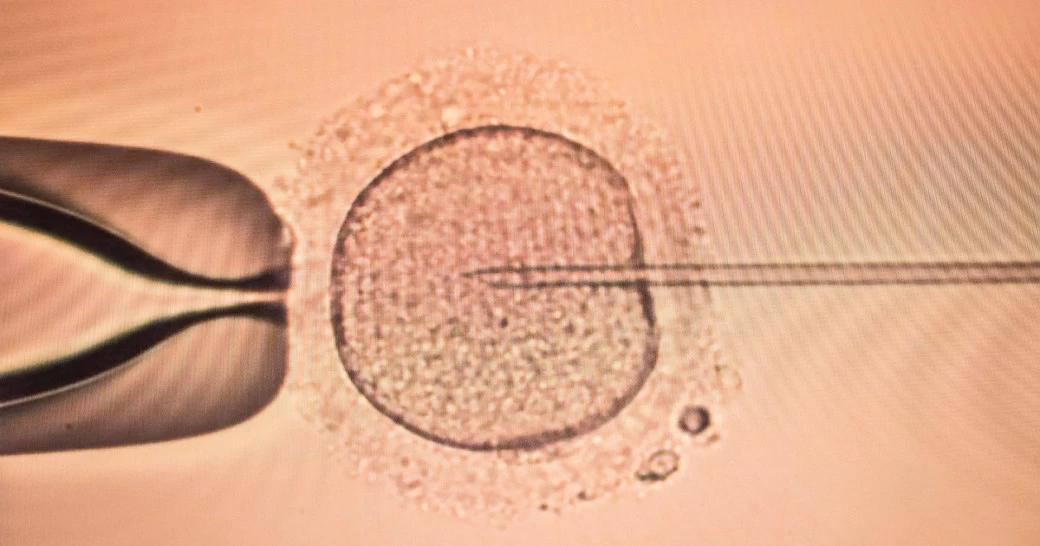 Фото: Martchan | Shutterstock | Fotodom