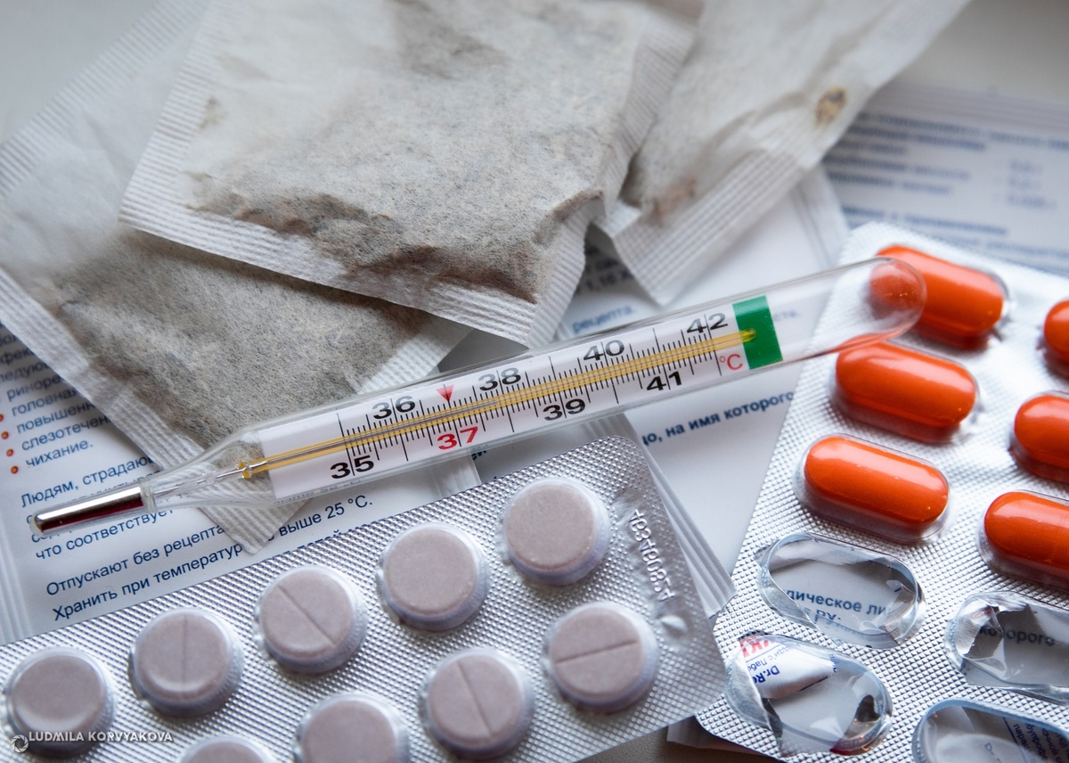    фото: © Столица на Онего