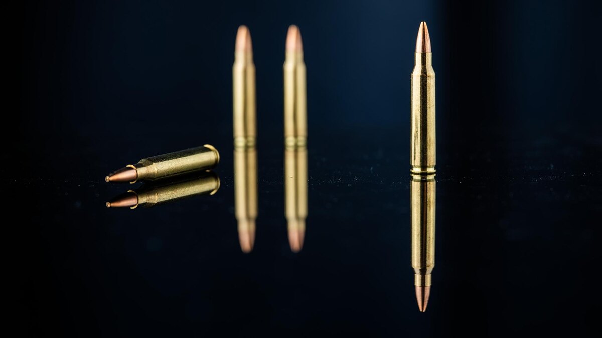    Фото: Silas Stein/globallookpress.com